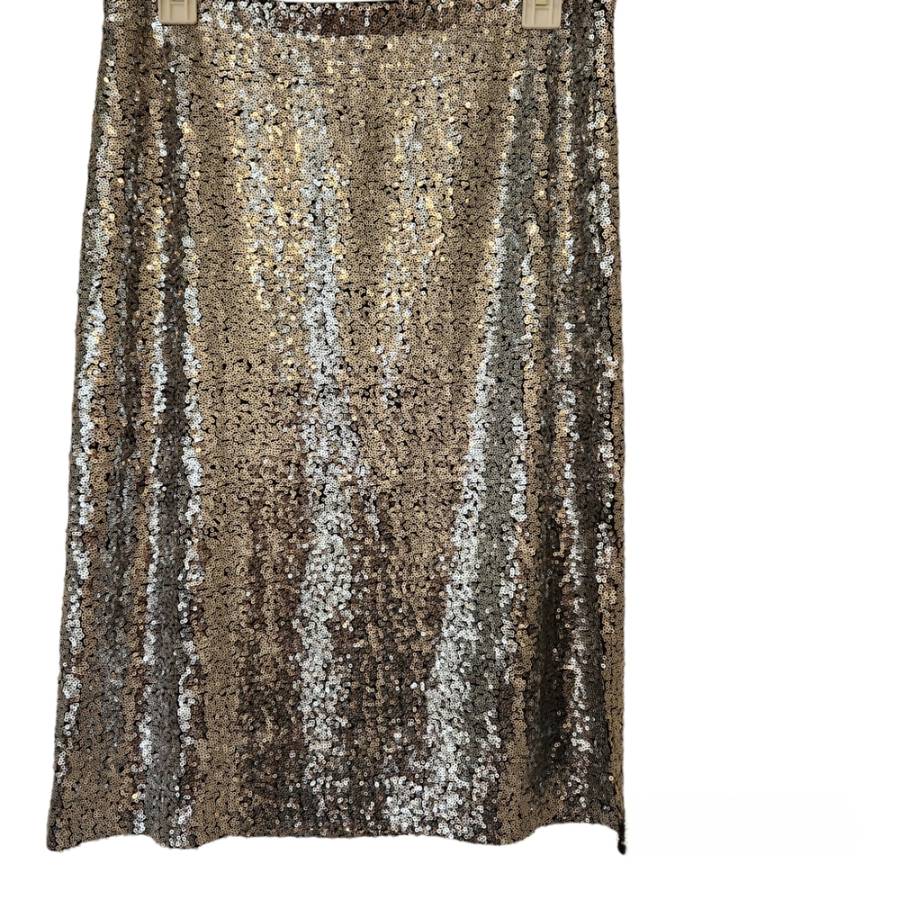 BB Dakota Skirt Silver Sequin Black Lined Sparkle Large